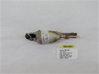 藏品(麻雀)的圖片